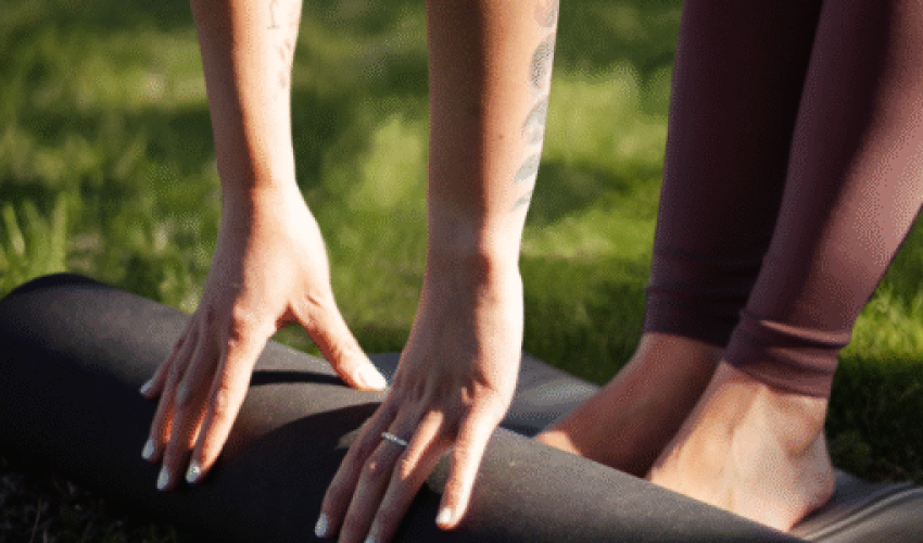 IMG_7963 membresía online